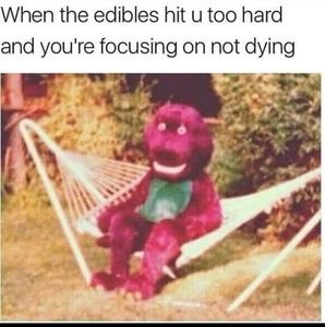 Meet your Posher, Troy